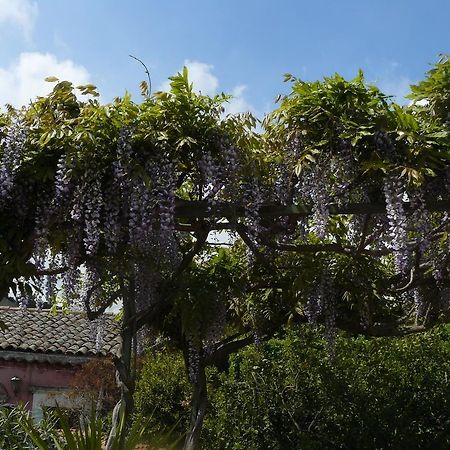 B&B Velardi Viagrande Eksteriør billede